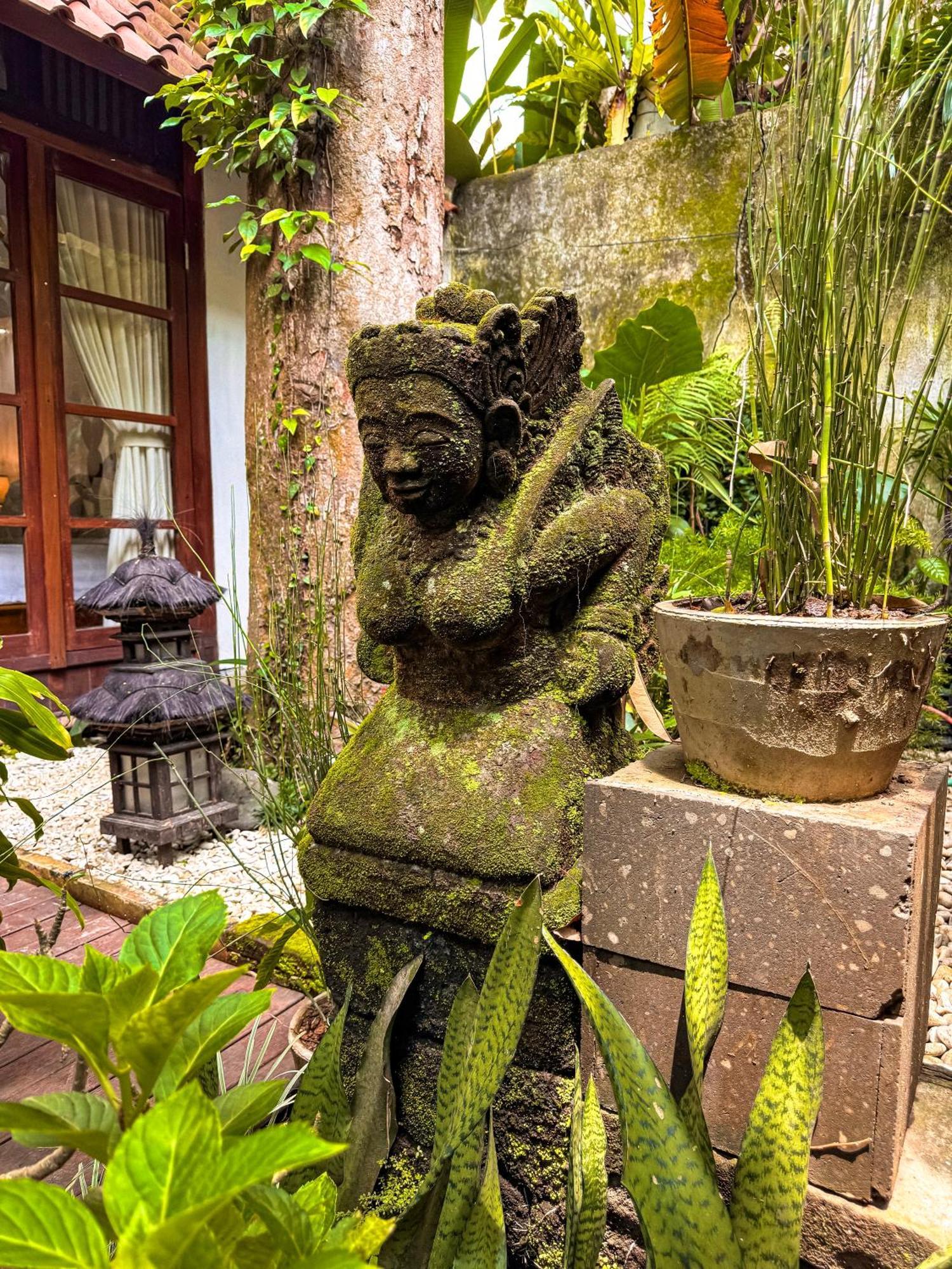 أوبود Bali Maison المظهر الخارجي الصورة